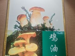 -菌之家·专业纯野生菌火锅·特色炒菌