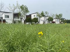-东梓关景区村庄