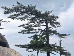 -罗田薄刀峰风景区