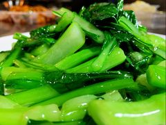-听涛雅苑百味饺子老家菜馆