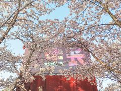 -龙美术馆(西岸馆)