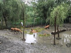 -溱湖国家湿地公园