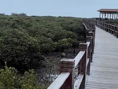 -北海金海湾红树林生态旅游区