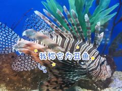 -洛阳龙门海洋馆