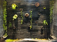 -一只烧鸡公(解放碑店)