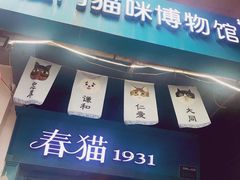 -猫咪博物馆(顶澳仔猫街店)