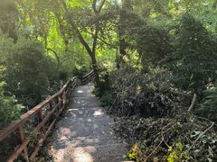 -大蜀山国家森林公园
