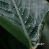 贵阳版苏州园林