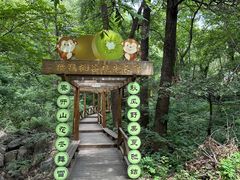 -大岭沟猕猴桃谷风景区