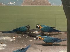 -石家庄市动物园