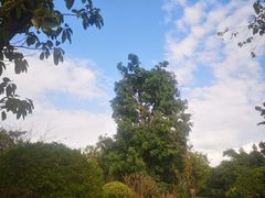 -西双版纳融创皇冠假日度假酒店