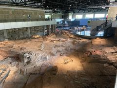 -自贡恐龙博物馆