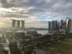 -新加坡瑞士史丹福酒店