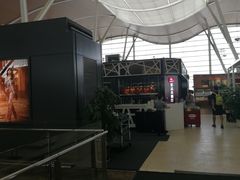 -上海浦东国际机场-T2航站楼