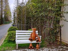 -前小桔亲子创意农场·草莓采摘·露营烧烤