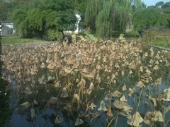 android_upload_pic-解放公园