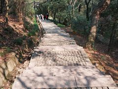 -苏州上方山国家森林公园