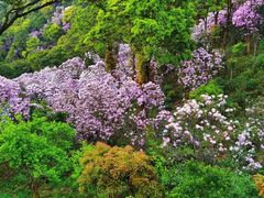 -梧桐山风景名胜区