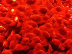 -多彩贵州城极地海洋世界