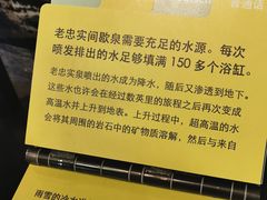 -老忠实间歇泉