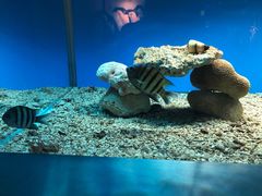 -秦皇岛新澳海底世界