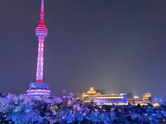 -龟山风景区-龟山电视塔