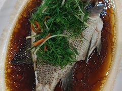 清蒸红鲔鱼-阿四台山黄鳝饭(东门店)