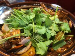 香菜-凤兴鸡煲(宝安海雅店)