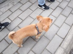 -汉中石门栈道景区