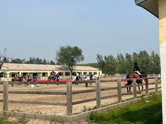 -北京群众马术培训基地