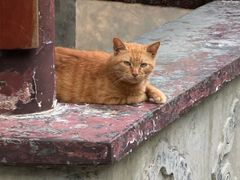 -敬亭山风景名胜区