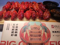 -肥肥虾庄·金牌油焖大虾(沙湖店)