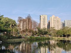 -四海公园(南山区)