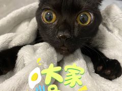 -猫的天空之城概念书店(三坊七巷店)