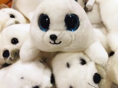 -海合安武汉极地海洋公园