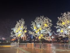 -郑州方特梦幻王国