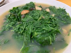 上汤枸杞叶-蚝专家(北滘店)