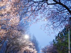 -吉林大学(南岭校区)