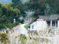 -樱桃山旅游景区