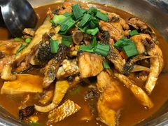 -刘胖子家常菜·蹄花焖藕(中南店)