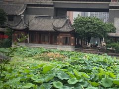 -龙潭水乡