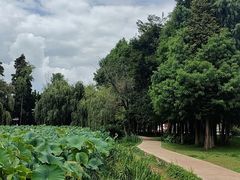 -庾园