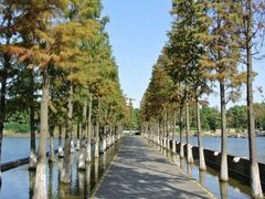 -圩墩遗址公园