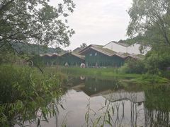 -西湖风景区-江洋畈生态公园