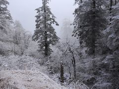 -瓦屋山景区