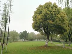 -九里河湿地公园