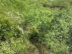 -碓臼峪自然风景区