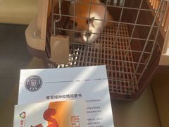 -喜多萌中农锦绣动物医院24H·猫科·牙科MRI·CT