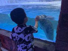 -左海海底世界