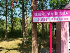 -泗洪洪泽湖湿地景区